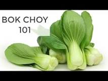 do-you-eat-the-white-part-of-bok-choy