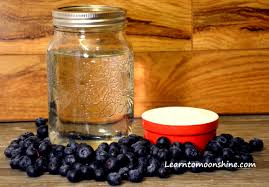 ings to make blueberry moonshine