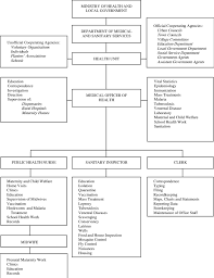 1 Organizational Structure Of Health Units Download