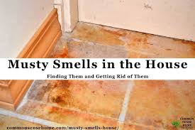 musty smells in the house finding