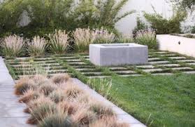 Ornamental Grass Modern Landscape