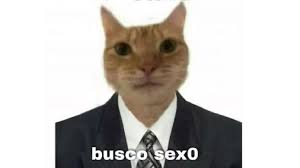Busco Sexo | Know Your Meme