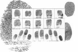 We did not find results for: Fingerprinting