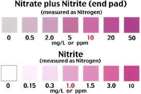 135 Nitrate And Nitrite In Water Testing School Science Kits