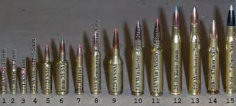 Ammunition Caliber Comparison Fotos Rifle Ammo Box Chart All