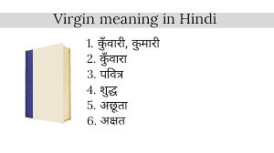 virgin meaning in hindi ecodiary