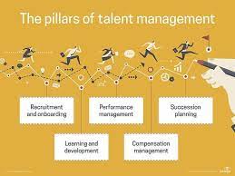 the talent management system in a