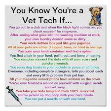I love you meow and furever. Funny Vet Tech Quotes Daily Quotes