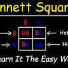 3 punnett square terms to learn. 1