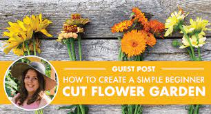 Simple Beginner Cut Flower Garden