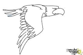 how to draw a cartoon eagle drawingnow