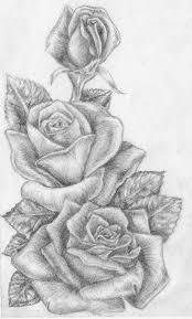 • initially draw three concentric light freehand circles as a guideline so that you understand the proportion of the rose and its leaves. Pencil Drawing Rose Images Pencildrawing2019