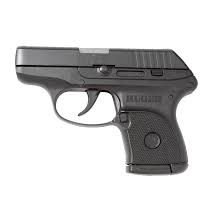 ruger lcp 380 auto armed in michigan