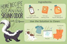 get rid of skunk odor what really works