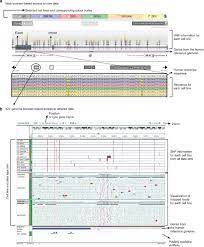genome dynamics of the human embryonic
