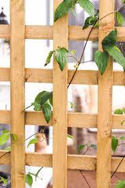Buy quality lumber, such as cedar building a planter with trellis is a great project is you are an amateur gardener. Diy Trellis Planter Love Grows Wild