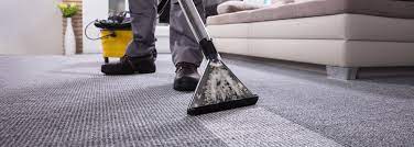 diy vs professional carpet cleaning a