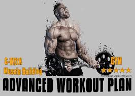 The Most Effective Free Gym Workout Plans