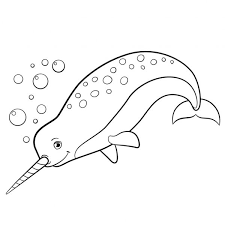 Narwhal coloring pagelng pictures free unicorn printables cute cool scaled cartoon pages for kids printable. 248 Narwhale Vectors Royalty Free Vector Narwhale Images Depositphotos
