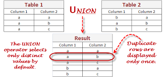 sql union learn database testing