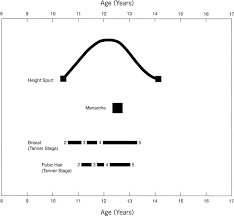 Physiology Of Puberty Glowm