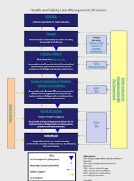 line management structure