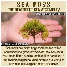 Here is a quick tutorial on how to dehydrate sea moss and turn into pill form. Alkaline Vegan Shop On Instagram To Purchase Sea Moss And Bladderwrack Capsules Click The Link In Bio Health And Nutrition Sea Moss Natural Health Remedies