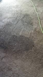 carpet stain removal in fort wayne
