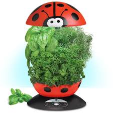 $20.73 usd buy it now. Indoor Gardening Made Compact And Fun Aerogarden 3 Ladybug Seed Kit Herbs Indoors Indoor Vegetable Gardening