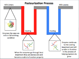 why htst pasteurization is the most