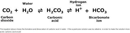Water Hydrogen Ion Hzco3 H Hco3