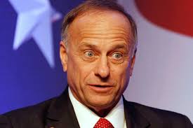 Steve King, the far-right Iowa congressman known for his outlandish comments about immigrants and Obama&#39;s birthplace, among other things. - steve_king_rect