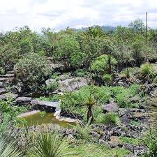 Unam Botanical Garden Mexico City