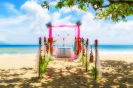 paradise wedding place veils