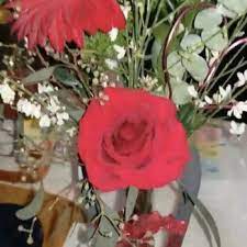 Apple creek flowers, your local woodstock florist, offers professionally designed flower arrangements and gift baskets. Apple Creek Flowers 13 Reviews Florists 207 N Throop St Woodstock Il Phone Number Yelp