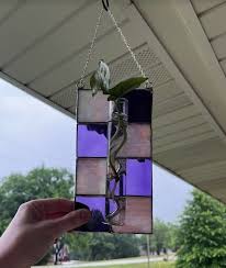 Stained Glass Hanging Propagation