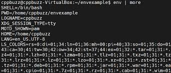 exle of environment variables in linux
