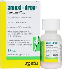 Amoxidrop For Dogs Cats Zoetis Animal Health Safe Pharmacy