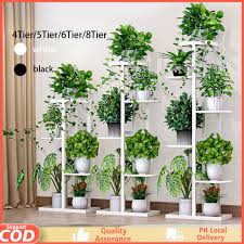 Green Plant Decoration Plant Shelves
