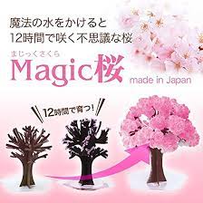 Amazon | マジック桜 (スタンダード) | マジック・手品 | おもちゃ