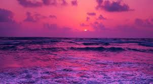 1242x2688 Horizon Pink Sunset Near Sea