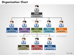 35 best organizational chart templates