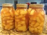 apple pie filling   canned or you can freeze it