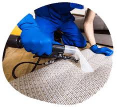 carpet cleaning cleaning plus
