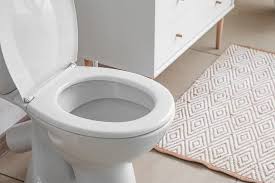 5 Common Toilet Issues And Their Causes