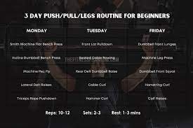 push pull legs 3 day split routine with