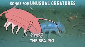 Seeking the creatures of sonaria code article, you will be exploring the appropriate website. Songs For Unusual Creatures Magnapinna Squid Pbs