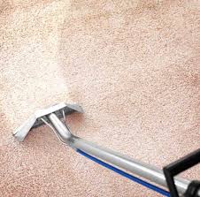 carpet cleaning garden clean up