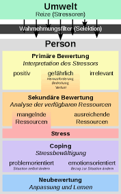 Lazarus' theory in nursing practice metaparadigms in nursing person: Stressmodell Von Lazarus Wikipedia