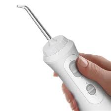 cordless plus water flosser wp 450